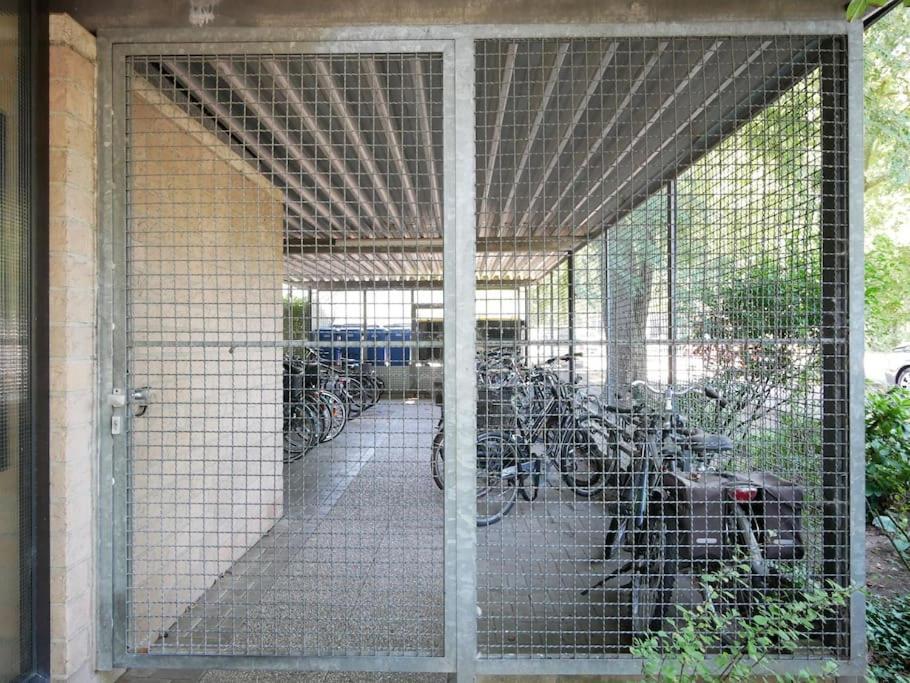 61 M2 Erdgeschosswohnung Mit Eigenem Parkplatz Vorm Haus Osnabrück Buitenkant foto